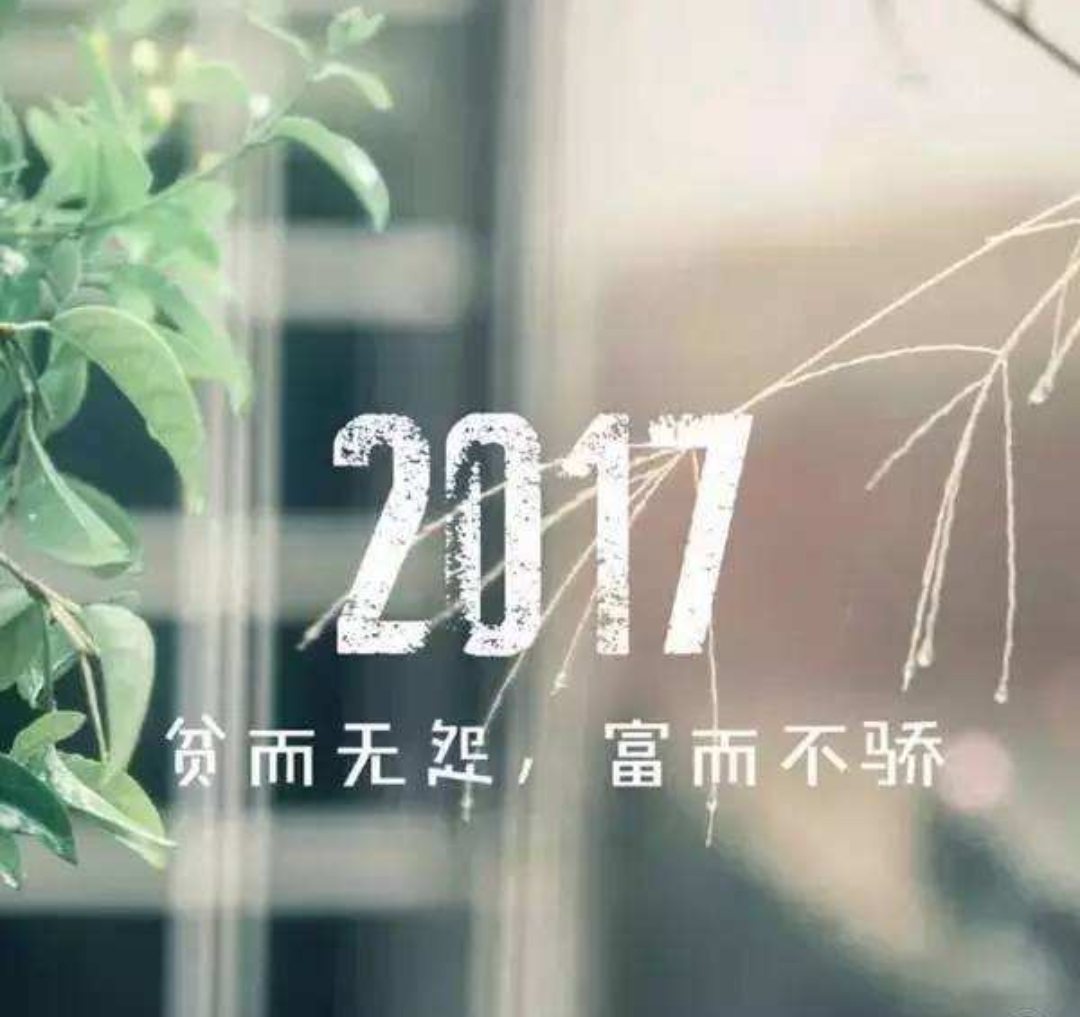 再见2017