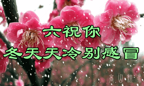 2019112213