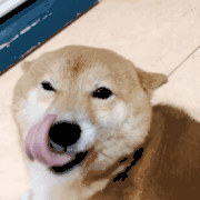 12344