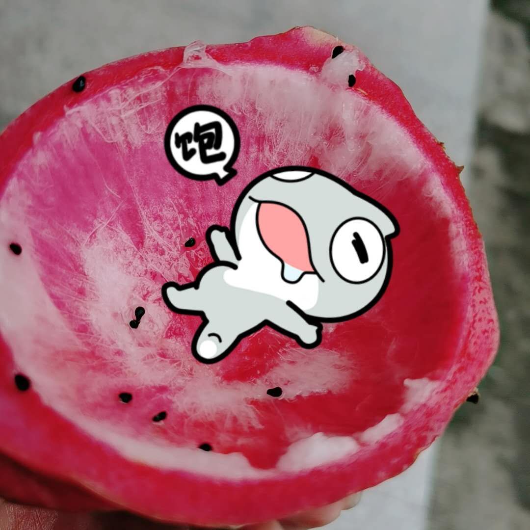 哦