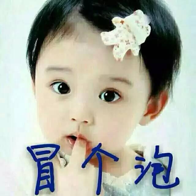 每天一帖