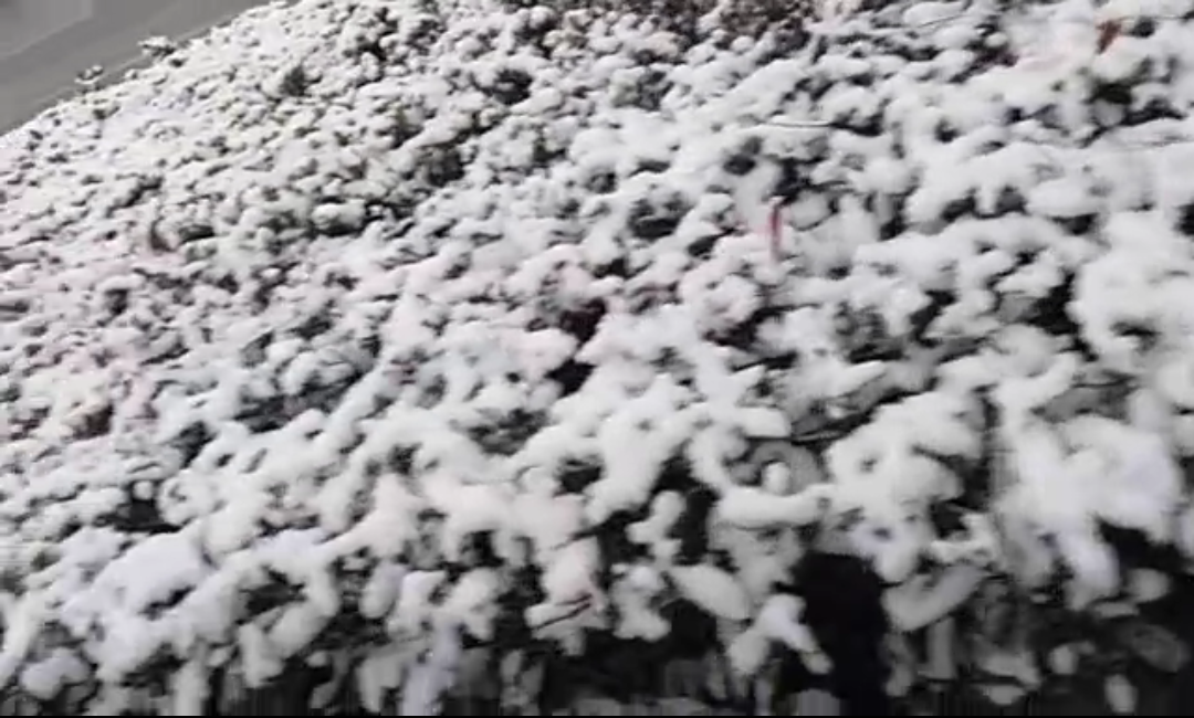 下雪咯