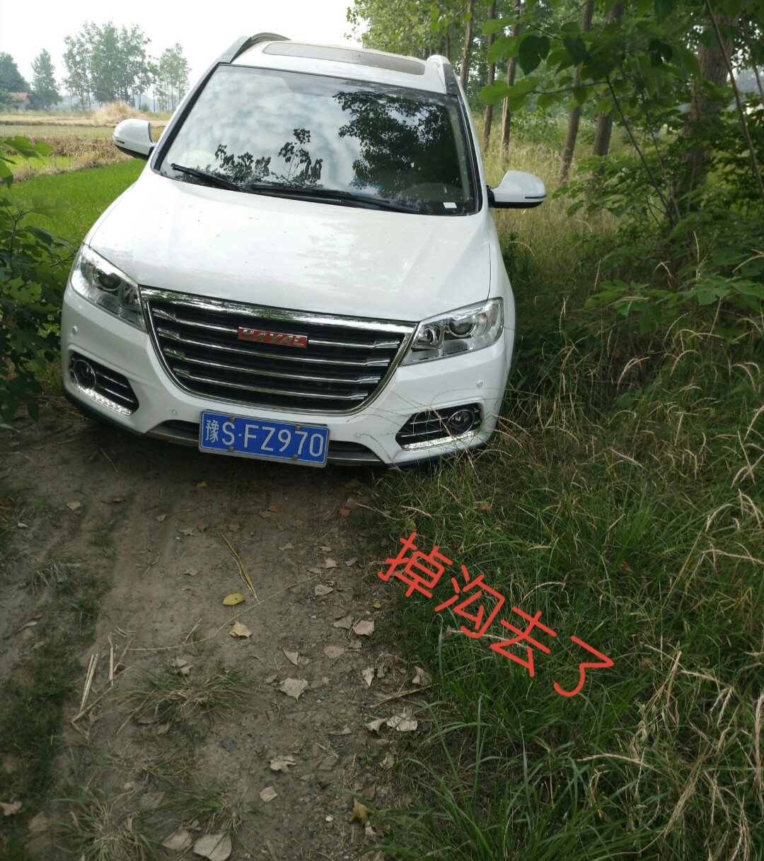 奶奶的。。。气死我了