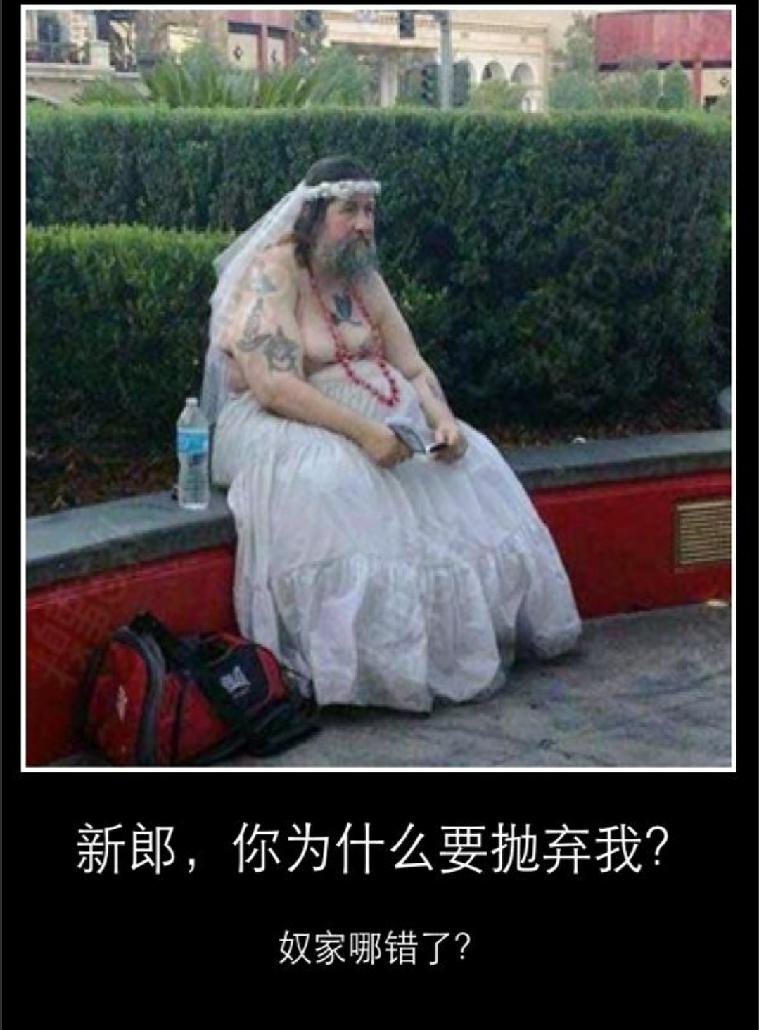 新郎，你为什么要抛弃我？