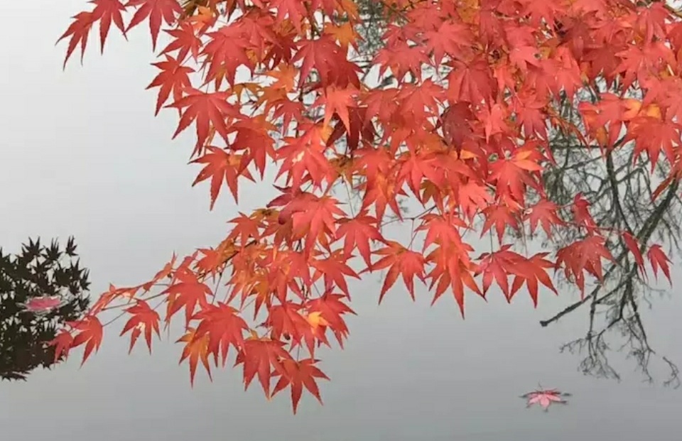 致我、致他、致我们…