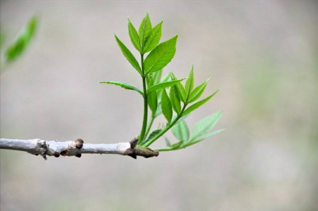 回首，时光已不再
